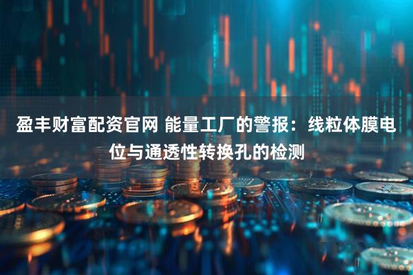 盈丰财富配资官网 能量工厂的警报：线粒体膜电位与通透性转换孔的检测